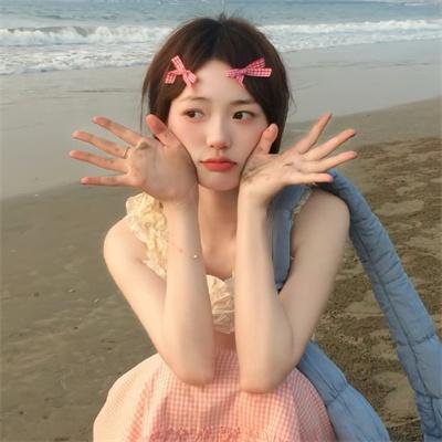 神探飞机头